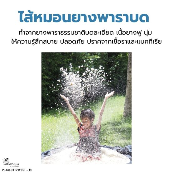 หมอนยางพาราบด ไซส์ M ตรา ParaRuksa - Image 14